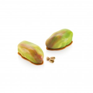 Stampo in silicone Pistacchio 120