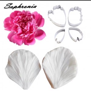 Set venatore per foglie