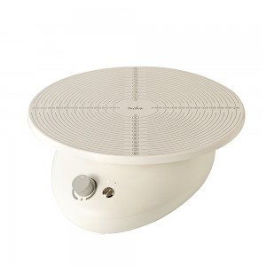 Piatto Girevole Elettrico