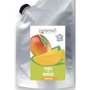 Purea di frutta Mango kg.1