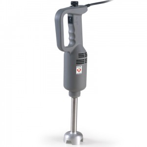 Mixer immersione Gorizia 20 W 