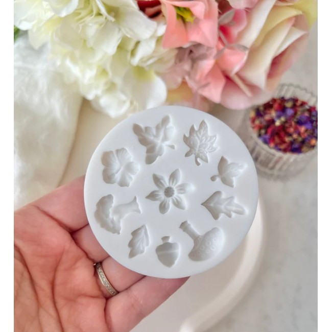 Silicone delle foglie autunnali