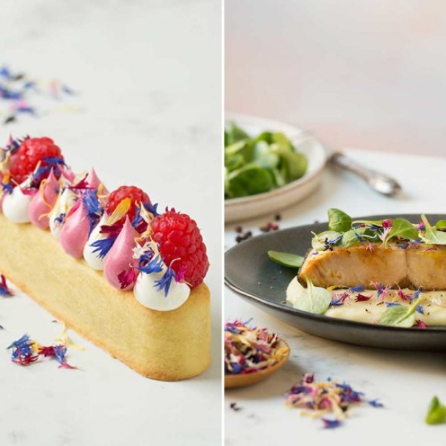 Fiori commestibili  eduli colori d’estate