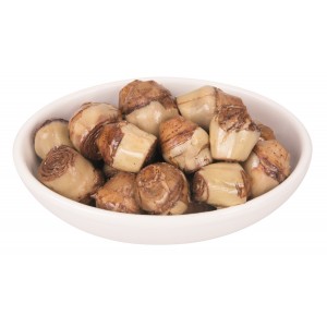 Carciofi rustichello gr770