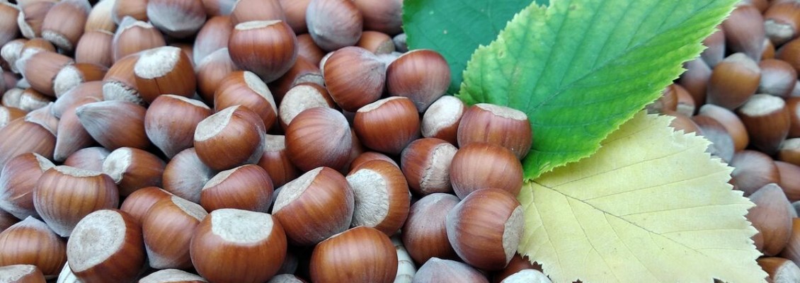 La granella di nocciole per un touche d'élégance al tuo cake design