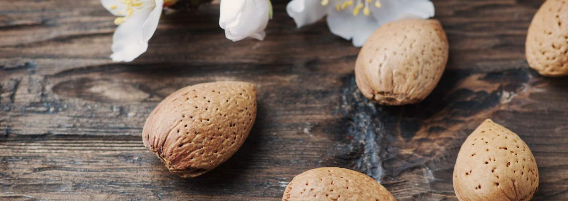 Pasta di mandorle: origini e applicazioni in pasticceria Pasta di mandorle: origini e applicazioni in pasticceria