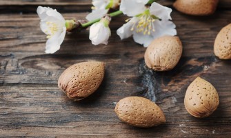 Pasta di mandorle: origini e applicazioni in pasticceria
