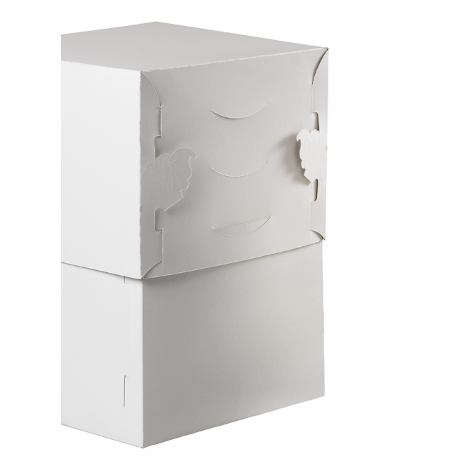 Scatole Torta Munumetale Bianca cm 31x31x23