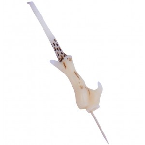 Candela Harry Potter Bacchetta Voldemort