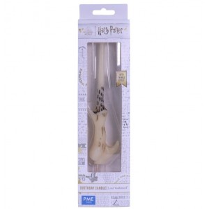 Candela Harry Potter Bacchetta Voldemort
